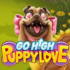 Go High Puppy Love online slot from RubyPlay – play at reelssoncasino.com